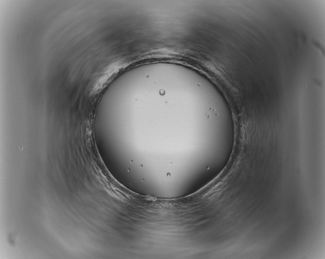 X0000099971355200806131523