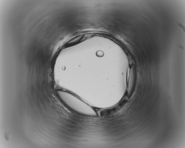 X0000099971357200806131523