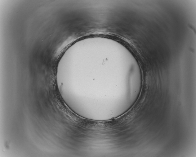 X0000099971359200806131523