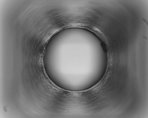 X0000099971361200806131523