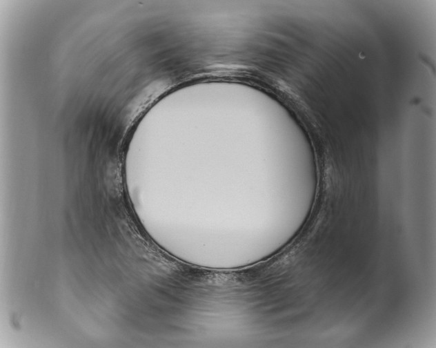 X0000099971362200806131523