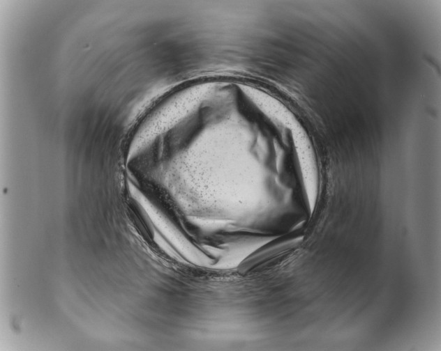 X0000099971363200806131523