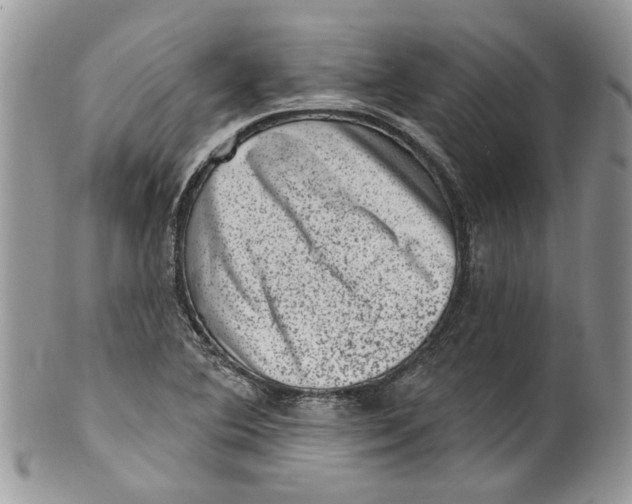 X0000099971364200806131523