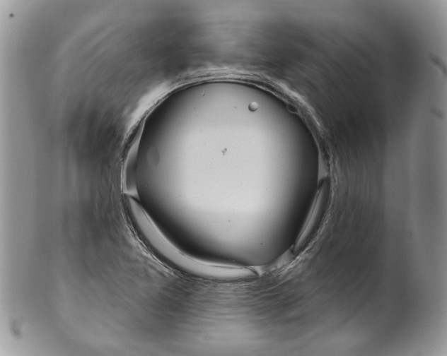 X0000099971365200806131523