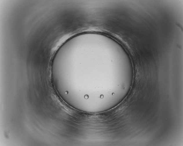 X0000099971367200806131523