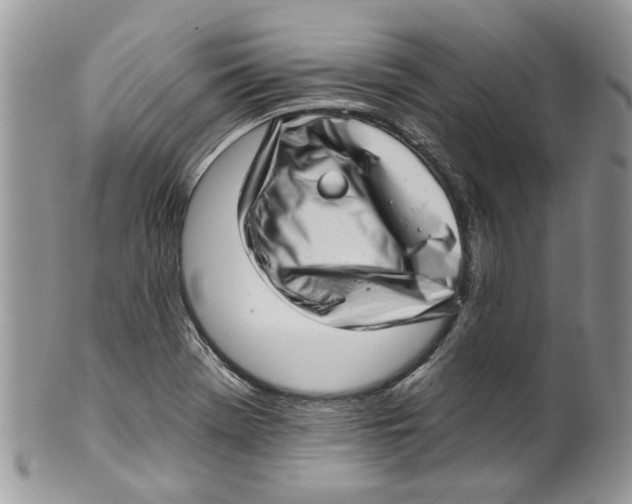 X0000099971369200806131523