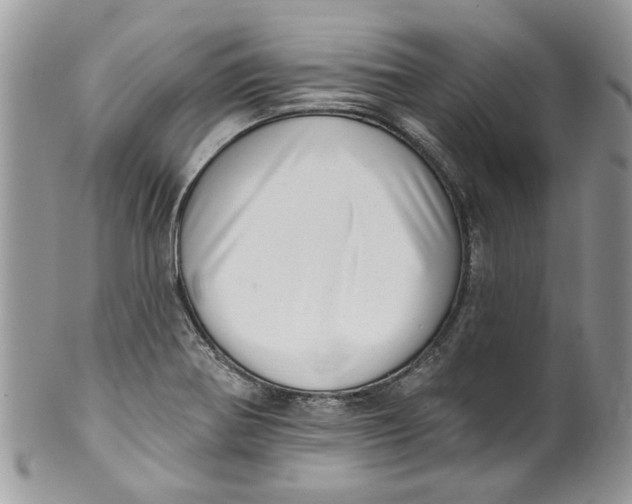 X0000099971370200806131523