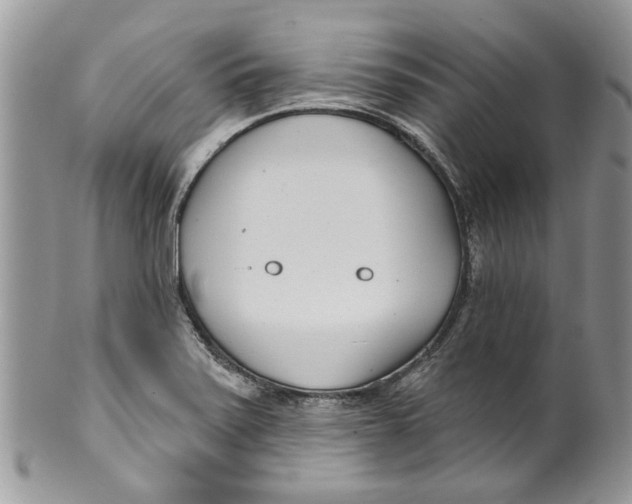 X0000099971371200806131523