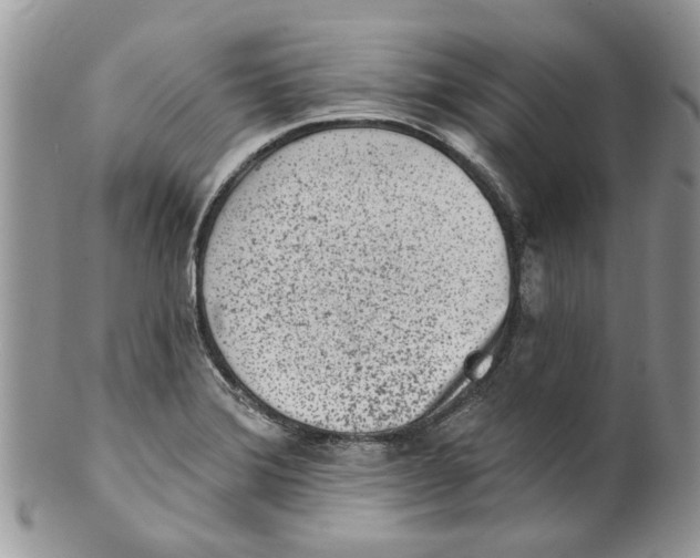 X0000099971372200806131523