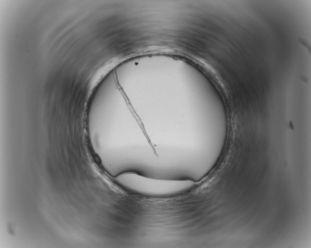 X0000099971373200806131523