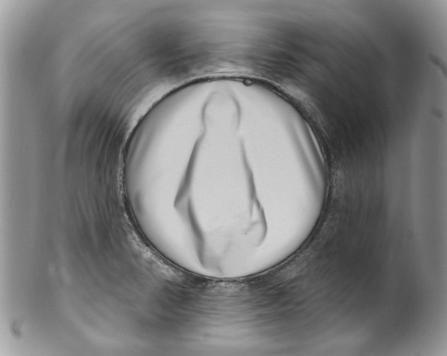 X0000099971374200806131523