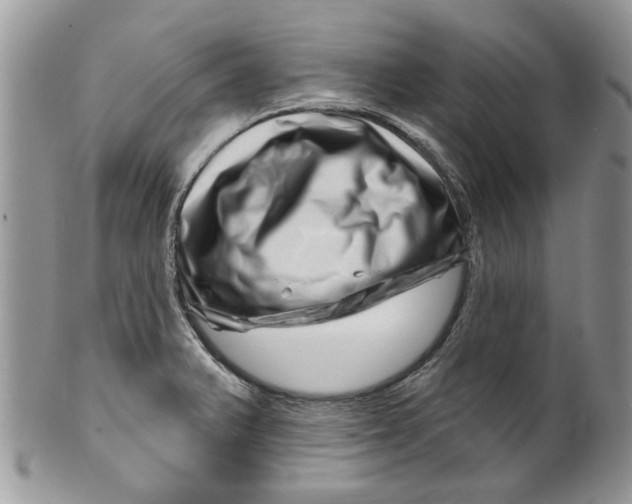 X0000099971375200806131523