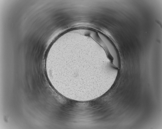 X0000099971376200806131523