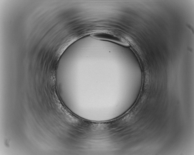 X0000099971377200806131523