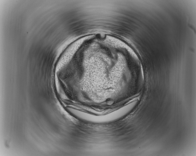 X0000099971379200806131523