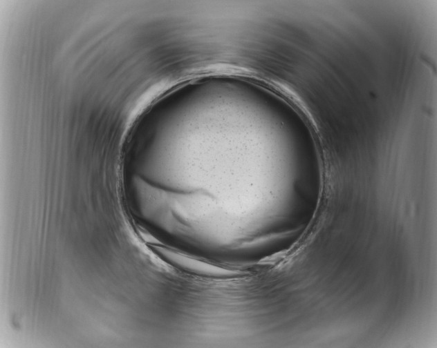 X0000099971381200806131523