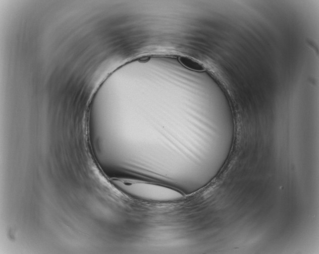 X0000099971382200806131523