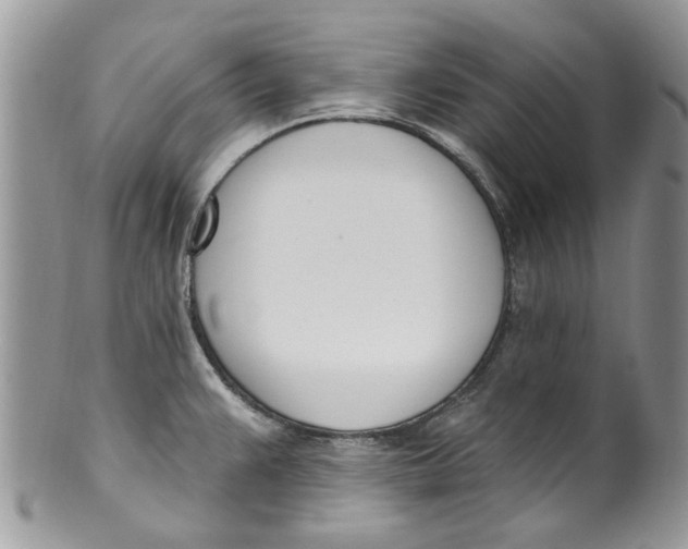 X0000099971383200806131523