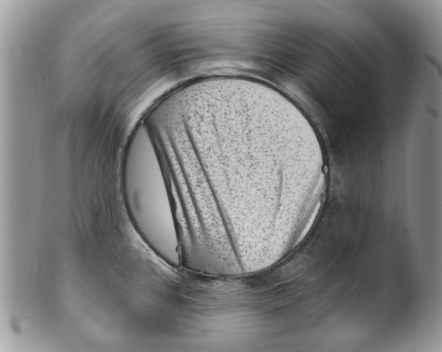 X0000099971384200806131522