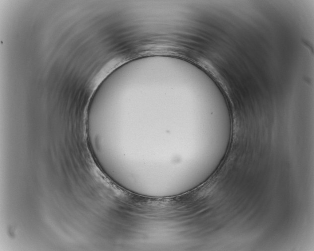 X0000099971386200806131522