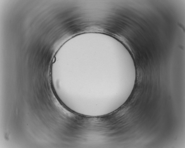 X0000099971387200806131522