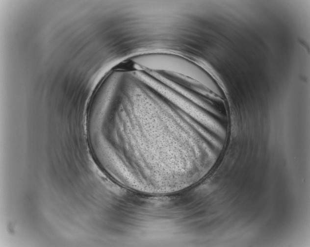 X0000099971388200806131522