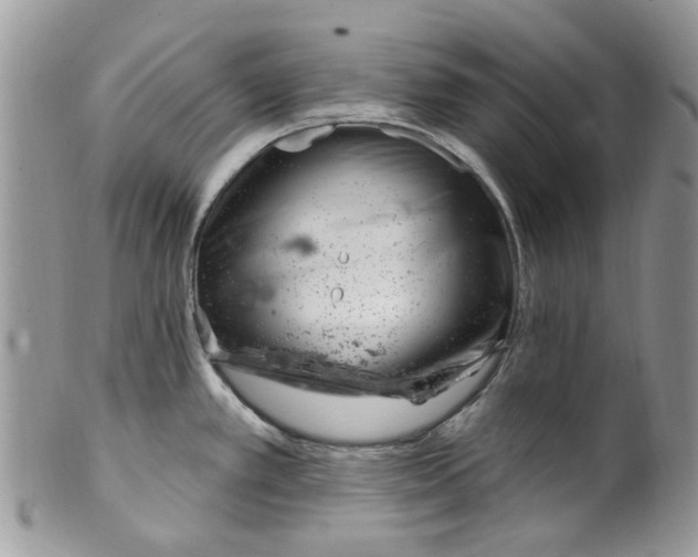 X0000099971389200806131522