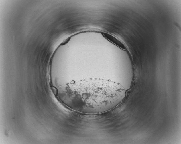 X0000099971391200806131522