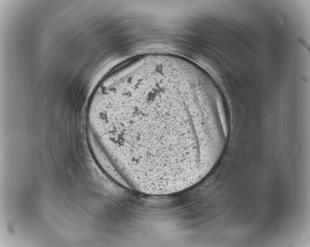 X0000099971392200806131522