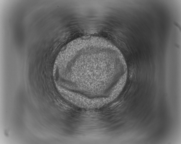 X0000099971393200806131522