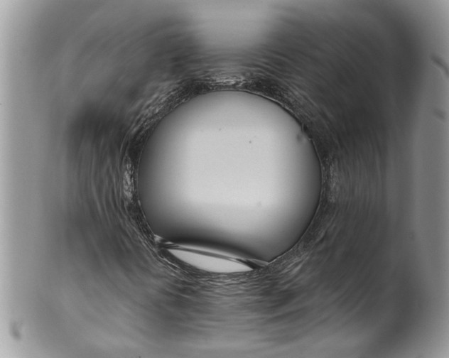 X0000099971394200806131522