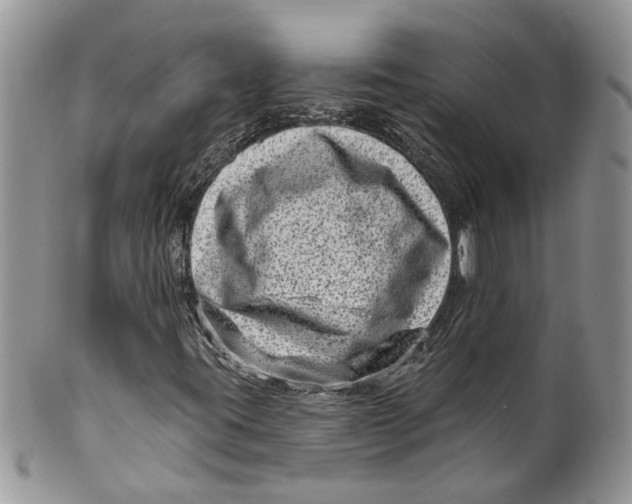 X0000099971395200806131522