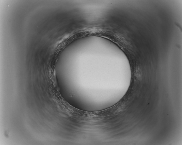 X0000099971398200806131522