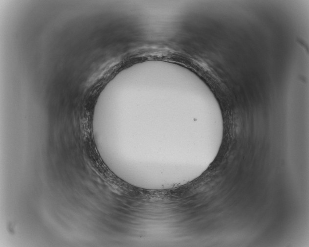 X0000099971399200806131522