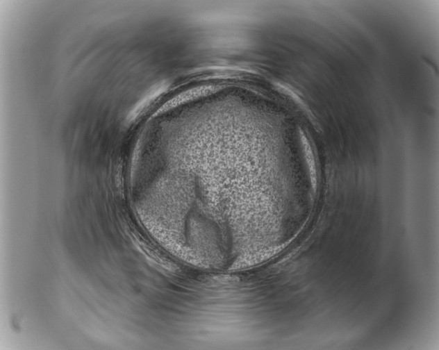 X0000099971403200806131522