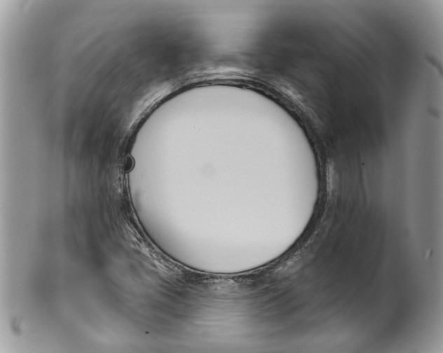 X0000099971405200806131522