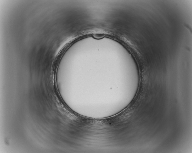 X0000099971408200806131522