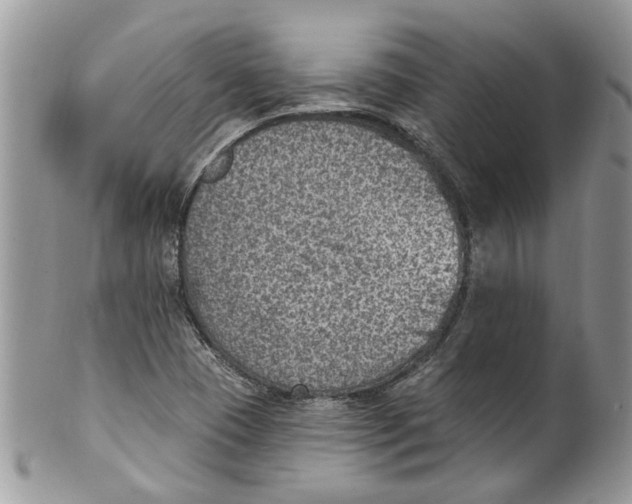 X0000099971409200806131522