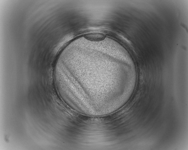 X0000099971411200806131522