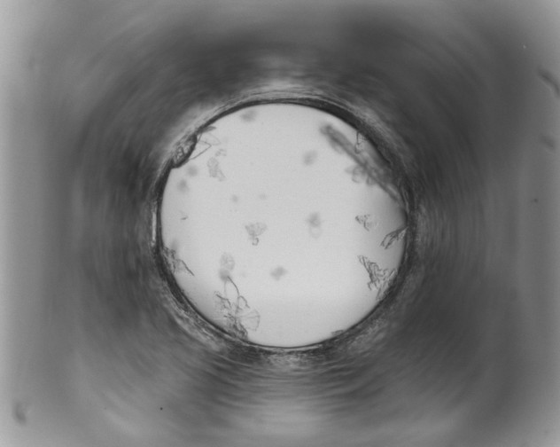 X0000099971413200806131522