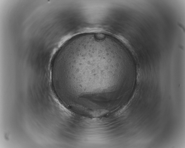 X0000099971414200806131522