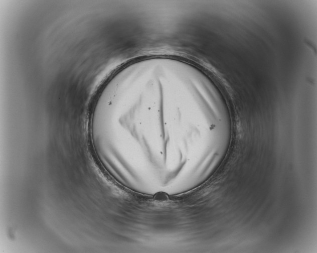 X0000099971416200806131522