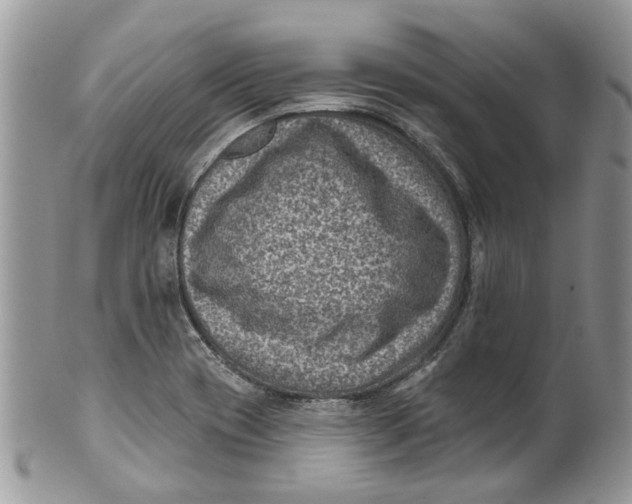 X0000099971417200806131522