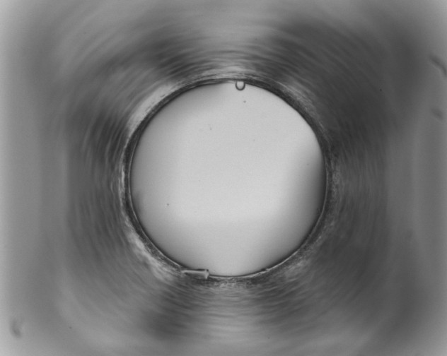 X0000099971418200806131522