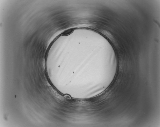 X0000099971420200806131522