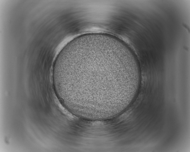 X0000099971421200806131522