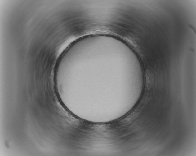 X0000099971422200806131522