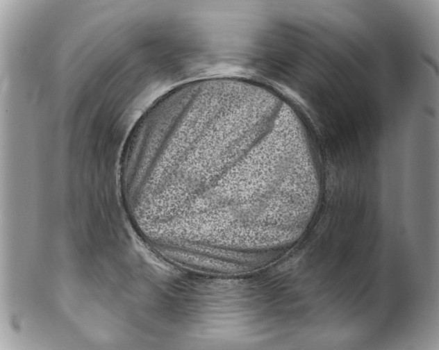 X0000099971423200806131522