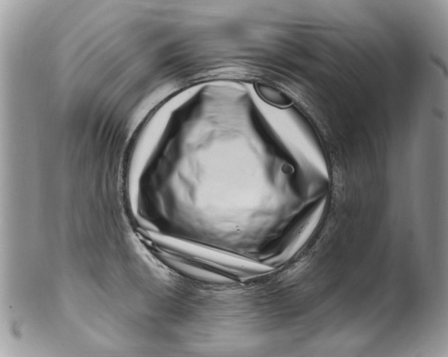 X0000099971426200806131522