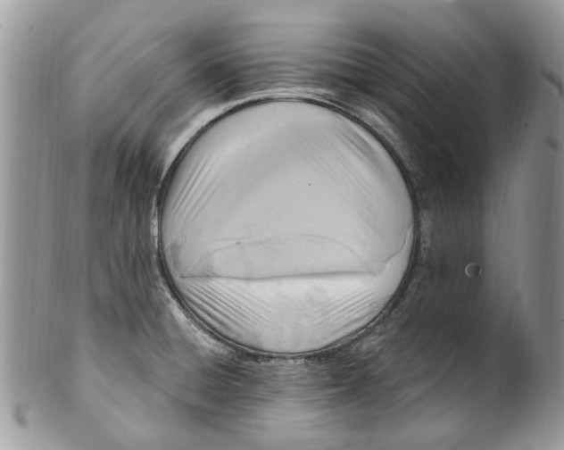 X0000099971428200806131522